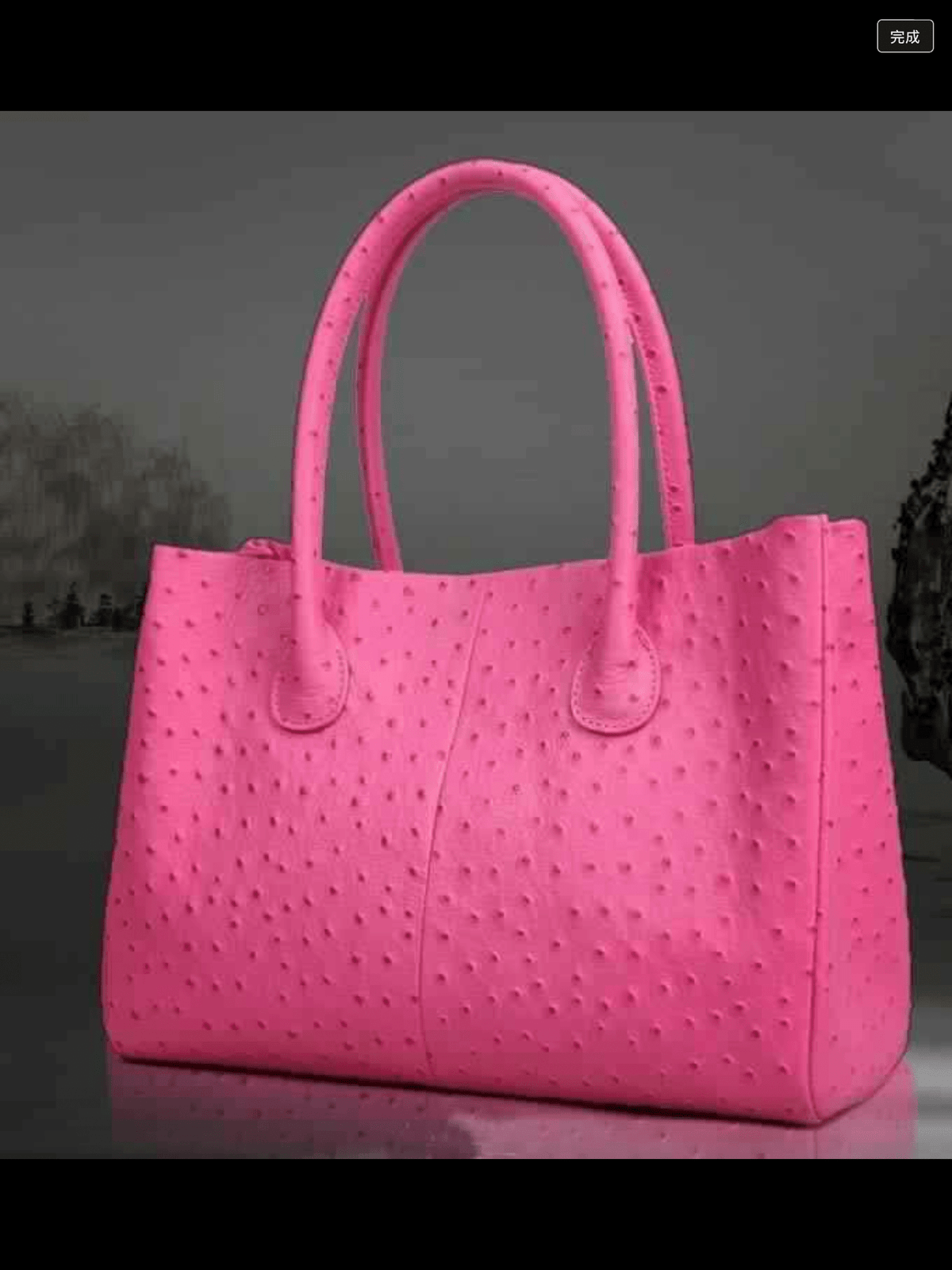 Preorder Genuine Ostrich Leather Tote Handbag