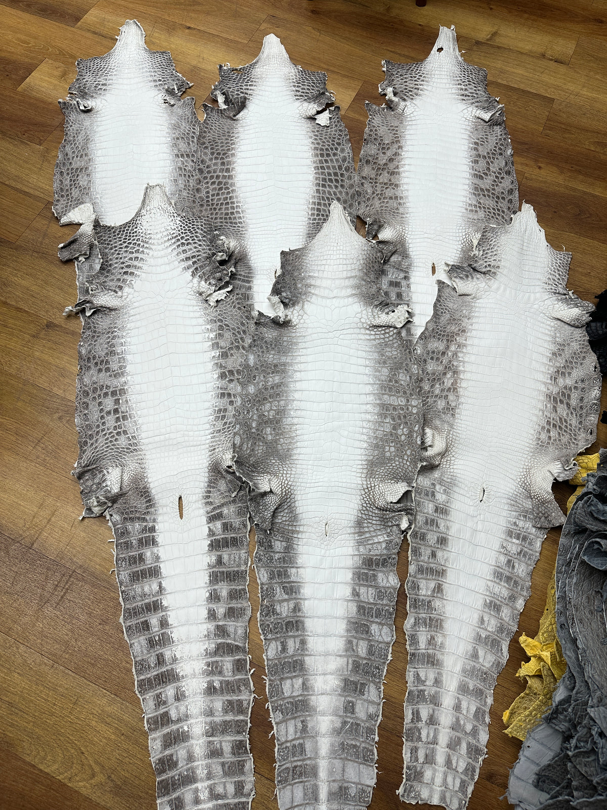 Preorder Genuine Crocodile Leather Super XL large Travel Duffel Bag Himalayan