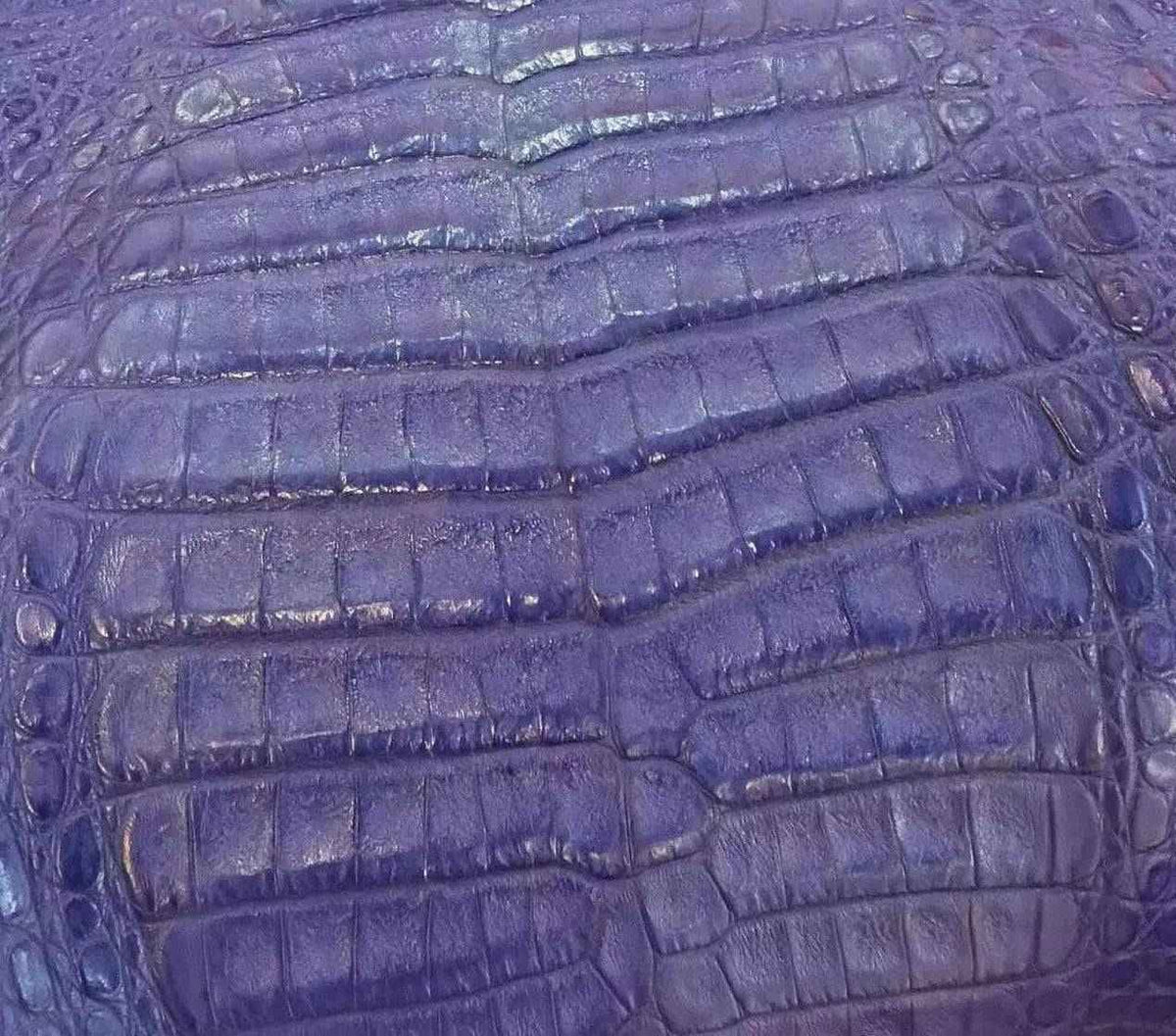 Crocodile Skin Belly Leather Colorway