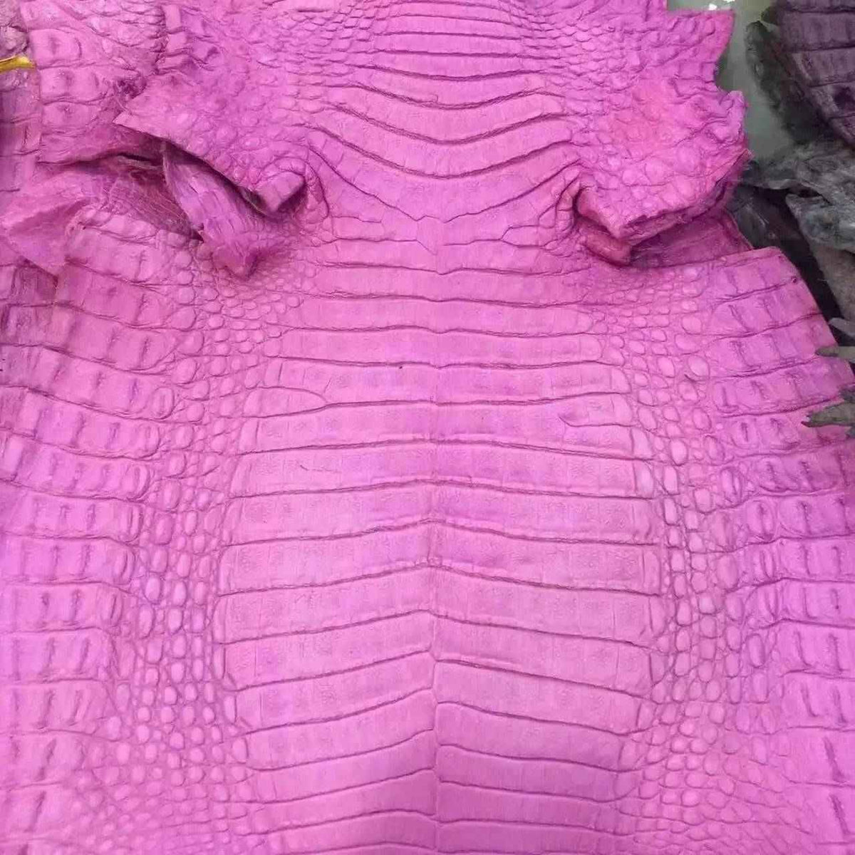 Crocodile Skin Belly Leather Colorway