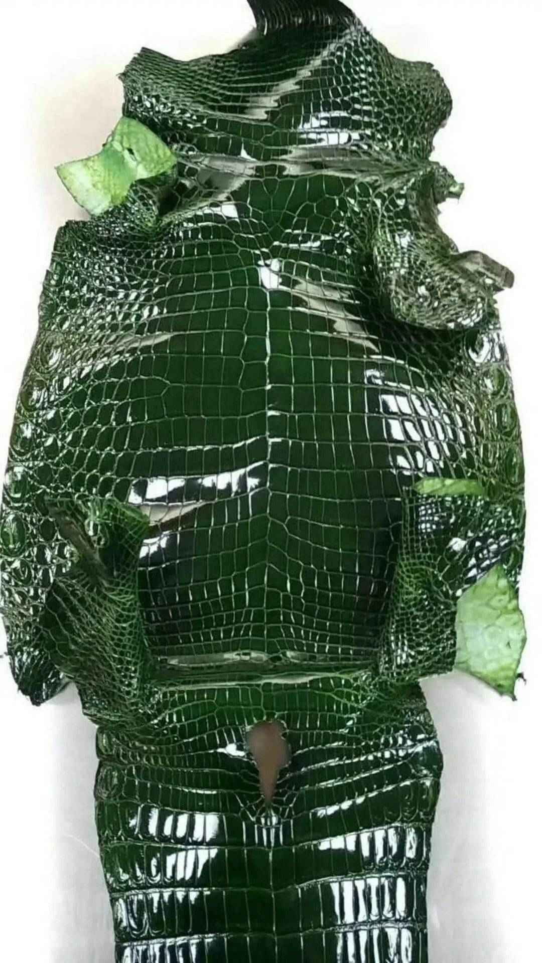 Crocodile skin belly leather in vibrant colorway, showcasing textured exotic leather for handbags and belts.