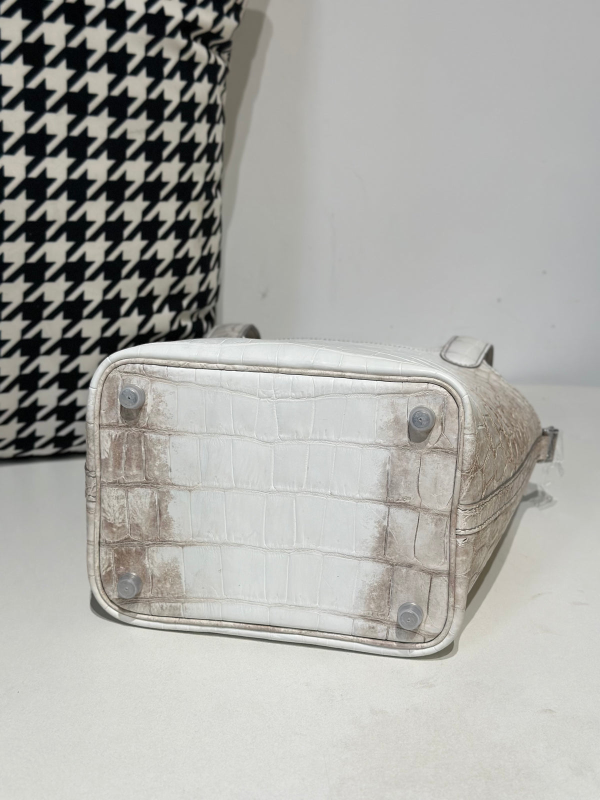 Women's Genuine Crocodile Skin Leather Small Cross Body Bag Himalayan