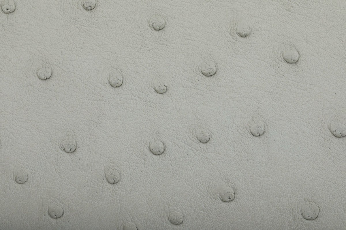 Womens Genuine Ostrich Skin Leathe Top Handle Satchel Bag