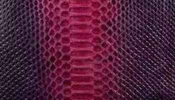 Python skin leather accessory in colorful pattern, featuring textured python scales, from Exotic Skin Leather Bags collection.