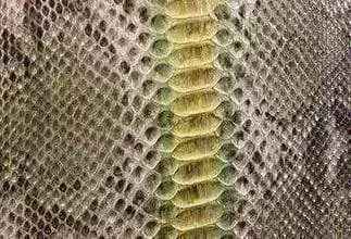 Python skin leather accessory in vibrant colorway, showcasing textured crocodile pattern from Exotic Skin Leather Bags.