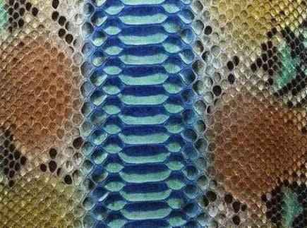 Python skin leather product in vibrant colorway, showcasing textured reptile pattern on apparel and accessories by Rossieviren.