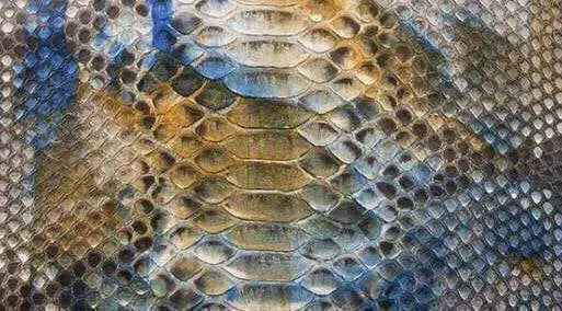 Exotic Skin Leather Bags Python Skin Leather Colorway for stylish accessories and apparel.