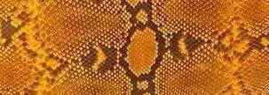 Python Skin Leather Colorway
